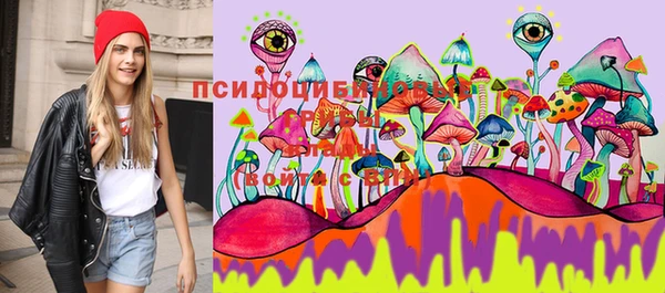 стафф Алексеевка