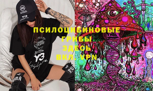 стафф Алексеевка