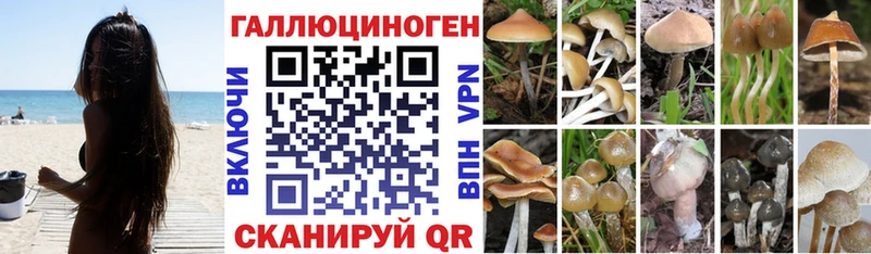 Галлюциногенные грибы прущие грибы  где купить наркоту  Пролетарск 